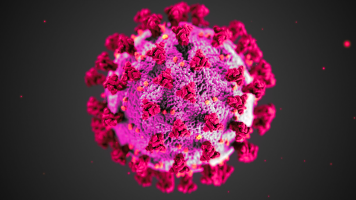 coronaviruspink